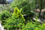 For sale:  home - Sithonia (4112-157) | Dom2000.com #24466393