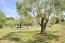 For sale:  home - Sithonia (4112-157) | Dom2000.com #24466396