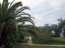 For sale:  home - Thasos (4118-158) | Dom2000.com #24530521