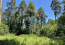 For sale:  land - дачный посёлок Ильинское str., д. Zhukovka (10501-162) | Dom2000.com #75988600