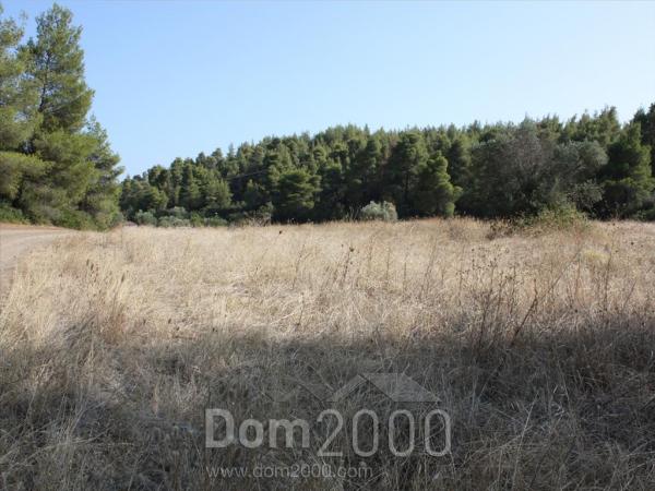 Продам земельный участок - Ситония (Халкидики-Ситония) (4120-163) | Dom2000.com