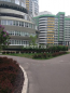 Lease 1-room apartment in the new building - Вышгородская, 45, Podilskiy (9178-166) | Dom2000.com #62660587