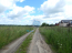For sale:  land - п. Sitne-Schelkanovo (10592-168) | Dom2000.com #76963045