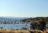 For sale:  land - Sithonia (4117-169) | Dom2000.com