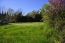 For sale:  land - Kerkyra (Corfu island) (4118-175) | Dom2000.com #24530727