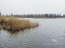 For sale:  land - Соловьяненко str., Kozin town (9459-175) | Dom2000.com #69039111