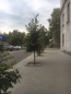 Lease shop - Университетская улица, 98б str., Slov'yansk city (9670-175) | Dom2000.com #67127427