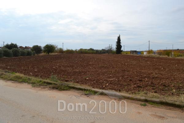 Продам земельный участок - Халкидики (8007-180) | Dom2000.com