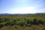 For sale:  land - Kerkyra (Corfu island) (4118-181) | Dom2000.com #24530801
