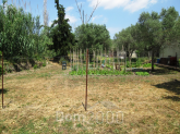 For sale:  land - Sithonia (7679-182) | Dom2000.com