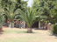 For sale:  home - Sithonia (4120-185) | Dom2000.com #24550325
