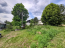 For sale:  land - п. Staraya Ruza (10615-186) | Dom2000.com #77219388