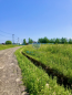 For sale:  land - Международный бульвар str., Russia (9877-187) | Dom2000.com #69184729