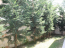 For sale:  home - Sithonia (4120-188) | Dom2000.com #24550375