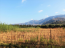 For sale:  land - Iraklion (crete) (4116-190) | Dom2000.com #24509488