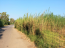 For sale:  land - Iraklion (crete) (4116-190) | Dom2000.com #24509490