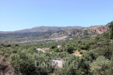 For sale:  land - Iraklion (crete) (7679-190) | Dom2000.com