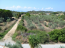 For sale:  land - Athos (4116-192) | Dom2000.com #24509506