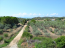 For sale:  land - Athos (4116-192) | Dom2000.com #24509507