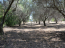 For sale:  land - Athos (4116-192) | Dom2000.com #24509509