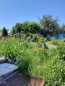 For sale:  home - Рылеева ул., Harkiv city (9921-194) | Dom2000.com #69605473