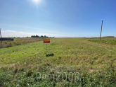 For sale:  land - Без вулиці, Borohiv village (9800-195) | Dom2000.com