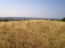 For sale:  land - Chalkidiki (4116-197) | Dom2000.com #24509562