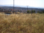 For sale:  land - Chalkidiki (4116-197) | Dom2000.com #24509565