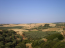 For sale:  land - Chalkidiki (4116-197) | Dom2000.com #24509567