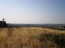 For sale:  land - Chalkidiki (4116-197) | Dom2000.com #24509568