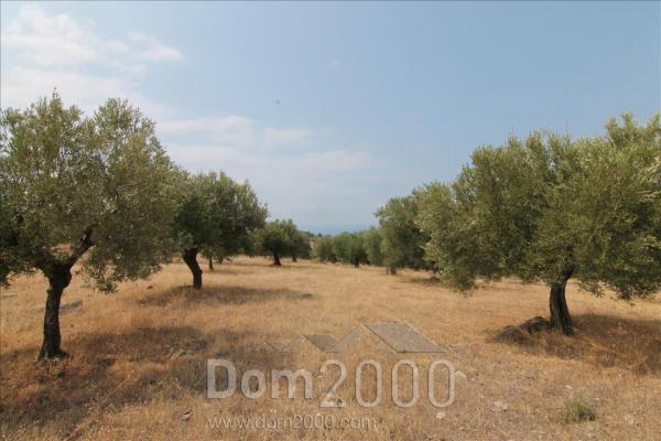 For sale:  land - Sithonia (7679-198) | Dom2000.com