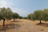 For sale:  land - Sithonia (7679-198) | Dom2000.com