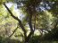 For sale:  land - Kassandra (4116-201) | Dom2000.com #24509618