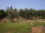 For sale:  land - Kassandra (4116-201) | Dom2000.com #24509619