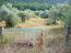 For sale:  land - Thasos (7673-201) | Dom2000.com #51337671