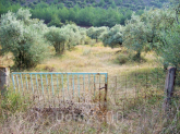 For sale:  land - Thasos (7673-201) | Dom2000.com