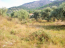 For sale:  land - Thasos (7673-201) | Dom2000.com #51337672