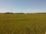 For sale:  land - Rodos (4118-202) | Dom2000.com #24531061