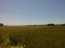 For sale:  land - Rodos (4118-202) | Dom2000.com #24531062