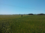 For sale:  land - Rodos (4118-202) | Dom2000.com #24531066