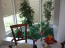 For sale:  home - Kassandra (4120-204) | Dom2000.com #24550564