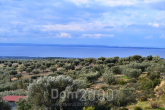 For sale:  shop - Chalkidiki (4113-208) | Dom2000.com