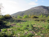 For sale:  land - Thasos (4118-209) | Dom2000.com