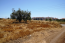 For sale:  land - Kassandra (4115-211) | Dom2000.com #24498167