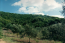 For sale:  land - Kerkyra (Corfu island) (4188-211) | Dom2000.com #25043705