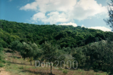 For sale:  land - Kerkyra (Corfu island) (4188-211) | Dom2000.com