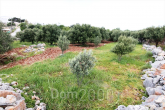 Продам земельну ділянку - Iraklion (crete) (7679-212) | Dom2000.com