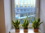 Lease 4-room apartment - Krišjāņa Valdemāra iela 123 str., Riga (3947-216) | Dom2000.com #23100154