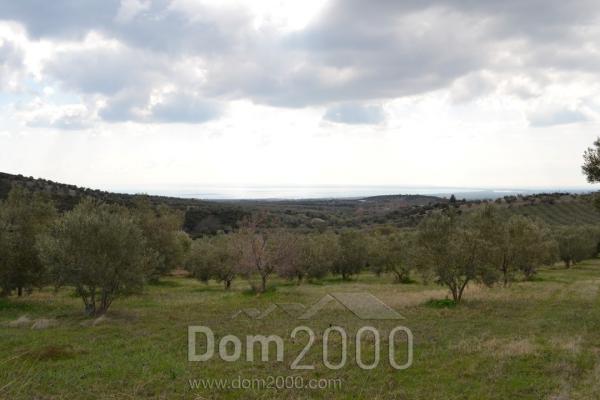 Продам земельный участок - Халкидики (4935-217) | Dom2000.com
