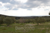 Продам земельный участок - Халкидики (4935-217) | Dom2000.com